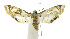  ( - INB0003459066)  @13 [ ] CreativeCommons - Attribution Non-Commercial Share-Alike  National Biodiversity Institute of Costa Rica National Biodiversity Institute of Costa Rica