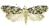  ( - INB0003459202)  @12 [ ] CreativeCommons - Attribution Non-Commercial Share-Alike (2012) National Biodiversity Institute of Costa Rica National Biodiversity Institute of Costa Rica