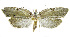  ( - INB0003459219)  @12 [ ] CreativeCommons - Attribution Non-Commercial Share-Alike (2012) National Biodiversity Institute of Costa Rica National Biodiversity Institute of Costa Rica