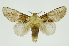  ( - INB0003459455)  @14 [ ] Copyright (2012) Juan Mata Lorenzen Unspecified
