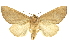  ( - INB0003459458)  @14 [ ] Copyright (2012) Juan Mata Lorenzen Unspecified