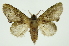  ( - INB0003459747)  @11 [ ] Copyright (2012) Juan Mata Lorenzen Unspecified