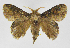  ( - INB0003459766)  @11 [ ] Copyright (2012) J. Montero Instituto Nacional de Biodiversidad