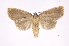  ( - INB0003459908)  @14 [ ] Copyright (2012) I. Chacon Instituto Nacional de Biodiversidad