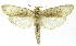  ( - INB0003459944)  @14 [ ] CreativeCommons - Attribution Non-Commercial Share-Alike (2012) National Biodiversity Institute of Costa Rica National Biodiversity Institute of Costa Rica