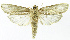  ( - INB0003459944)  @12 [ ] CreativeCommons - Attribution Non-Commercial Share-Alike (2012) National Biodiversity Institute of Costa Rica National Biodiversity Institute of Costa Rica