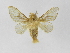  ( - INB0003467030)  @11 [ ] Copyright (2012) J. Montero Instituto Nacional de Biodiversidad