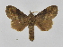  ( - INB0003468212)  @11 [ ] Copyright (2012) J. Montero Instituto Nacional de Biodiversidad