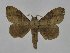  ( - INB0003468225)  @11 [ ] Copyright (2012) J. Montero Instituto Nacional de Biodiversidad