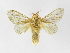  ( - INB0003468230)  @11 [ ] Copyright (2012) J. Montero Instituto Nacional de Biodiversidad
