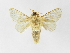  ( - INB0003468230)  @11 [ ] Copyright (2012) J. Montero Instituto Nacional de Biodiversidad
