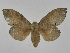  ( - INB0003468706)  @11 [ ] Copyright (2012) J. Montero Instituto Nacional de Biodiversidad