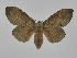  ( - INB0003468707)  @11 [ ] Copyright (2012) J. Montero Instituto Nacional de Biodiversidad