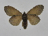  ( - INB0003468707)  @11 [ ] Copyright (2012) J. Montero Instituto Nacional de Biodiversidad