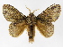  ( - INB0003468746)  @11 [ ] Copyright (2012) J. Montero Instituto Nacional de Biodiversidad