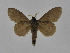  ( - INB0003469399)  @11 [ ] Copyright (2012) J. Montero Instituto Nacional de Biodiversidad