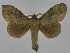  ( - INB0003469617)  @11 [ ] Copyright (2012) J. Montero Instituto Nacional de Biodiversidad