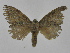  ( - INB0003471712)  @11 [ ] Copyright (2012) J. Montero Instituto Nacional de Biodiversidad