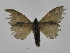  ( - INB0003471712)  @11 [ ] Copyright (2012) J. Montero Instituto Nacional de Biodiversidad