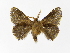  ( - INB0003472331)  @12 [ ] Copyright (2012) J. Montero Instituto Nacional de Biodiversidad