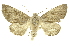  ( - INB0003485283)  @14 [ ] Copyright (2012) Juan Mata Lorenzen INBio