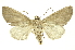  ( - INB0003485283)  @13 [ ] Copyright (2012) Juan Mata Lorenzen INBio