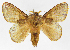  ( - INB0003487002)  @14 [ ] Copyright (2012) J. Montero Instituto Nacional de Biodiversidad