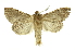  ( - INB0003487048)  @13 [ ] Copyright (2012) Juan Mata Lorenzen Unspecified