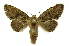  ( - INB0003495495)  @11 [ ] Copyright (2012) Juan Mata Lorenzen Unspecified