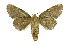  ( - INB0003495495)  @11 [ ] Copyright (2012) Juan Mata Lorenzen Unspecified