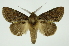  ( - INB0003495939)  @14 [ ] Copyright (2012) Juan Mata Lorenzen Unspecified