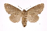  ( - INB0003495954)  @13 [ ] Copyright (2012) I. Chacon Instituto Nacional de Biodiversidad