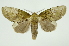  ( - INB0003496188)  @11 [ ] Copyright (2012) Juan Mata Lorenzen Unspecified