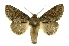  ( - INB0003516056)  @14 [ ] Copyright (2012) Juan Mata Lorenzen Unspecified