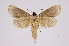  ( - INB0003520501)  @11 [ ] Copyright (2012) I. Chacon Instituto Nacional de Biodiversidad