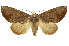  ( - INB0003520586)  @15 [ ] Copyright (2012) Juan Mata Lorenzen Unspecified