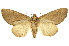  ( - INB0003520586)  @14 [ ] Copyright (2012) Juan Mata Lorenzen Unspecified