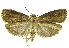  ( - INB0003520620)  @12 [ ] CreativeCommons - Attribution Non-Commercial Share-Alike (2012) National Biodiversity Institute of Costa Rica National Biodiversity Institute of Costa Rica