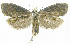  ( - INB0003520949)  @13 [ ] CreativeCommons - Attribution Non-Commercial Share-Alike (2012) National Biodiversity Institute of Costa Rica National Biodiversity Institute of Costa Rica