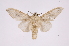  ( - INB0003521080)  @13 [ ] Copyright (2012) I. Chacon Instituto Nacional de Biodiversidad