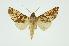  ( - INB0003521199)  @13 [ ] Copyright (2012) Juan Mata Lorenzen Unspecified