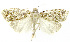  ( - INB0003521573)  @13 [ ] CreativeCommons - Attribution Non-Commercial Share-Alike (2012) National Biodiversity Institute of Costa Rica National Biodiversity Institute of Costa Rica