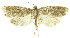  ( - INB0003521573)  @12 [ ] CreativeCommons - Attribution Non-Commercial Share-Alike (2012) National Biodiversity Institute of Costa Rica National Biodiversity Institute of Costa Rica