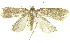  ( - INB0003521575)  @12 [ ] CreativeCommons - Attribution Non-Commercial Share-Alike (2012) National Biodiversity Institute of Costa Rica National Biodiversity Institute of Costa Rica