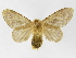  ( - INB0003527180)  @13 [ ] Copyright (2012) J. Montero Instituto Nacional de Biodiversidad