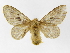  ( - INB0003527183)  @14 [ ] Copyright (2012) J. Montero Instituto Nacional de Biodiversidad