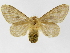  ( - INB0003527185)  @13 [ ] Copyright (2012) J. Montero Instituto Nacional de Biodiversidad