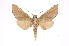  ( - INB0003527500)  @11 [ ] Copyright (2012) I. Chacon Instituto Nacional de Biodiversidad