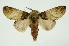  ( - INB0003527642)  @11 [ ] Copyright (2012) Juan Mata Lorenzen Unspecified
