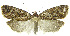  ( - INB0003536254)  @13 [ ] CreativeCommons - Attribution Non-Commercial Share-Alike (2012) National Biodiversity Institute of Costa Rica National Biodiversity Institute of Costa Rica